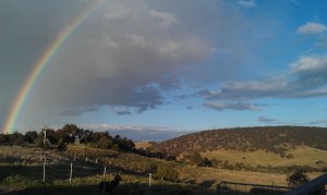 The view from Dee's study