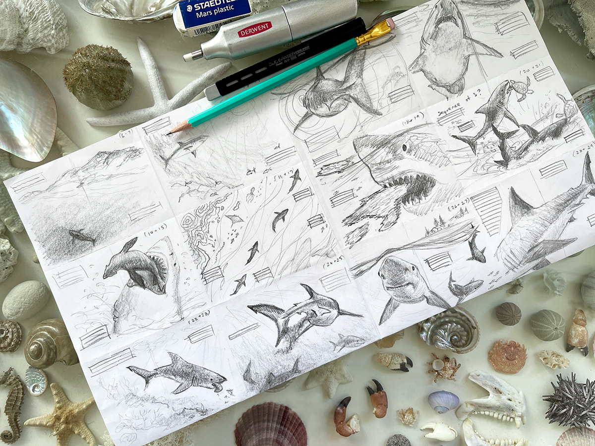 Thumbnail sketches by Cindy Lane for her picture book Great White Shark