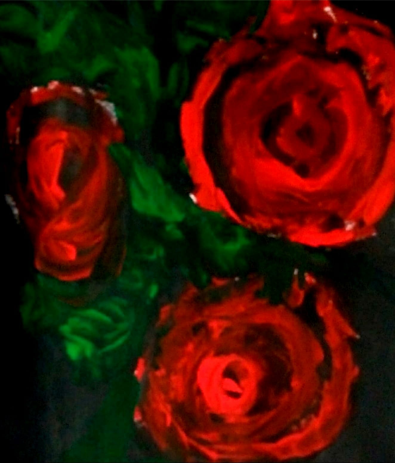 Image shows a watercolour painting of three red roses and green leaves against a black background. The rose blooms are full and open and viewed from above.