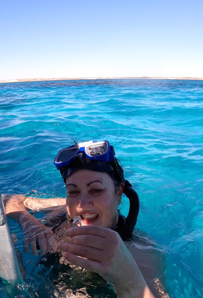 Cindy Lane in the ocean wearing a snorkel