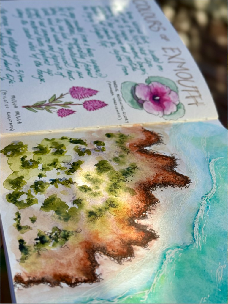 An open sketchbook showing an aerial scene of the Ningaloo coast and selected flowers from the area.