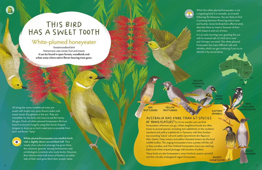 A double spread inside This Bird showing the White-plumed honeyeater